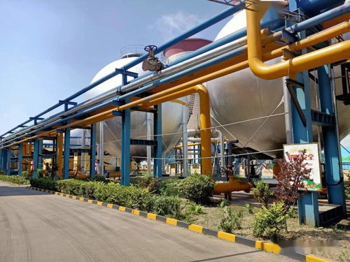 绿色环保，从“鑫”出发 化妆品行业的可持续发展之路